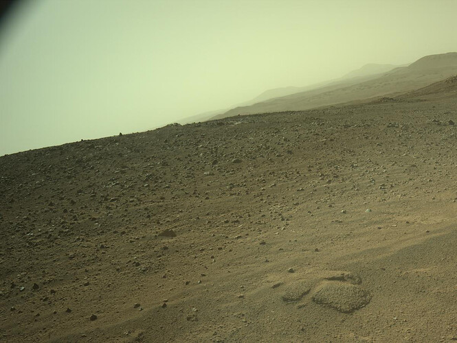 Sol1354