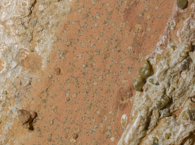 bafkreidgagqqx6fw4sgv2vvlvbt4vwk3yzi5l7f33whcpuad3odfus7cau