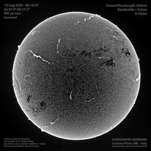 20250813_0813_Sole_HA_FD_HS76_183_BW_Inv_2160px