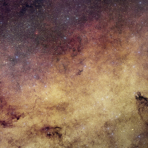 Euclid_s_view_of_our_galaxy_s_bulge_article