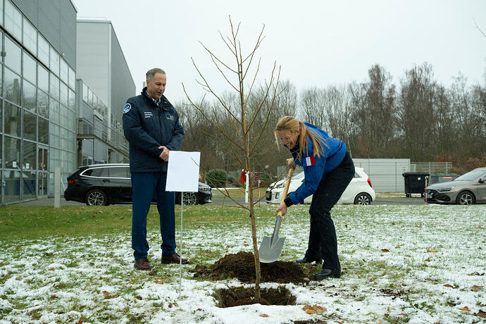 Tree_planting_for_epsilon (1)