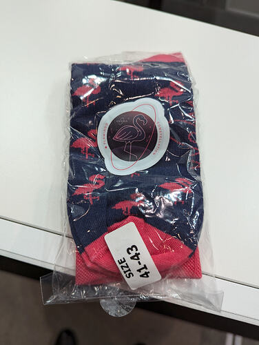 PXL_20241018_074537701