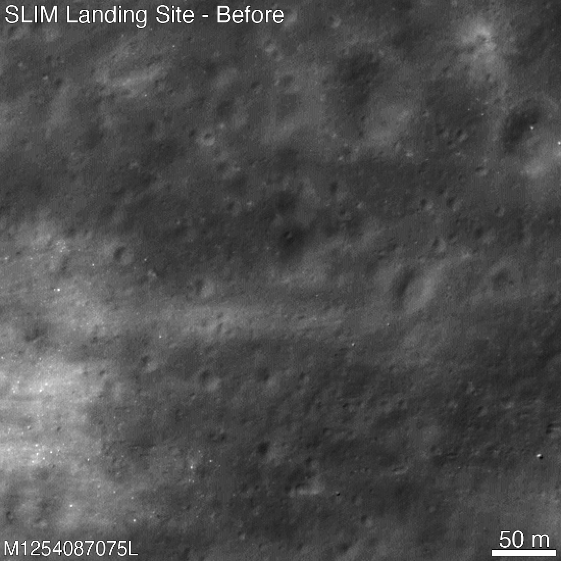 fig02-slim-blink-labels